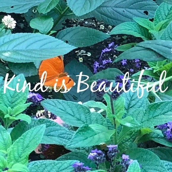 Meet your Posher, T - Picture 1 of 1